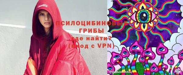 прущая мука Абаза