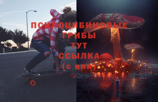 Альфа ПВП Протвино